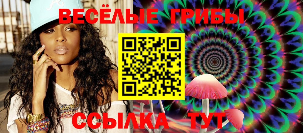 Псилоцибиновые грибы Cubensis Стрежевой