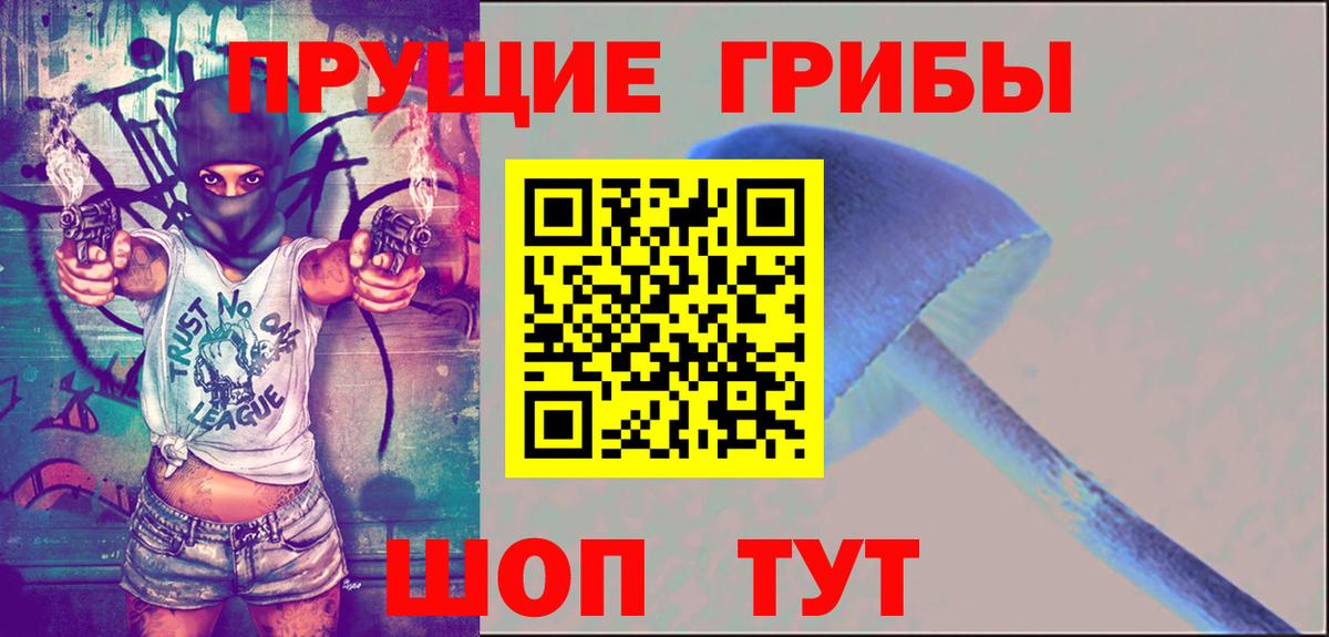 Стрежевой  Галлюциногенные грибы мицелий  Вход с VPN 